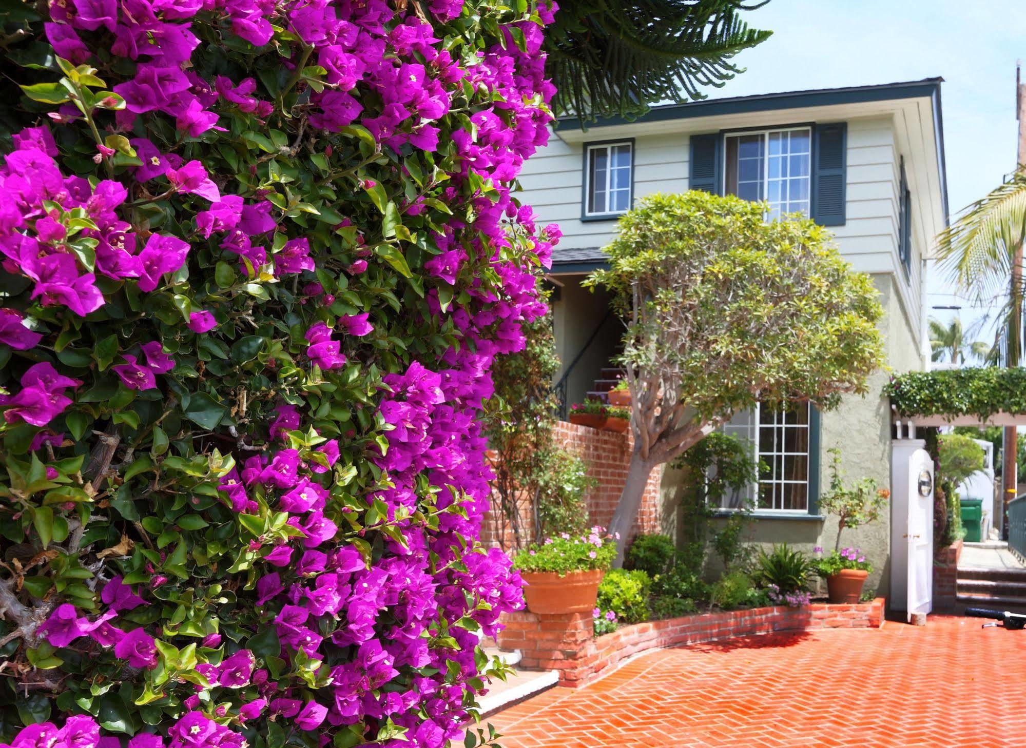 Hotel Joaquin (Adults Only) Laguna Beach Exterior photo